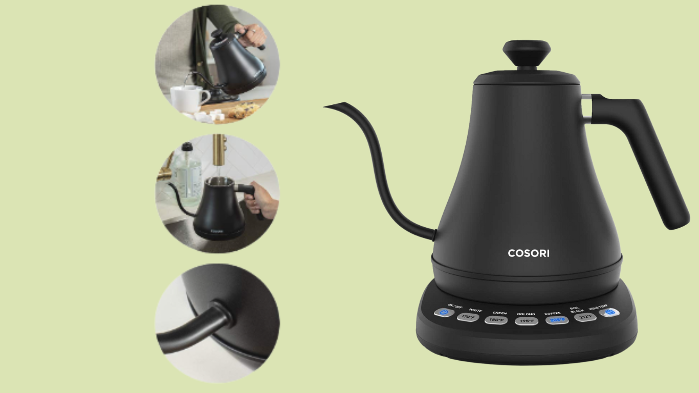 best electric kettle with temperature control